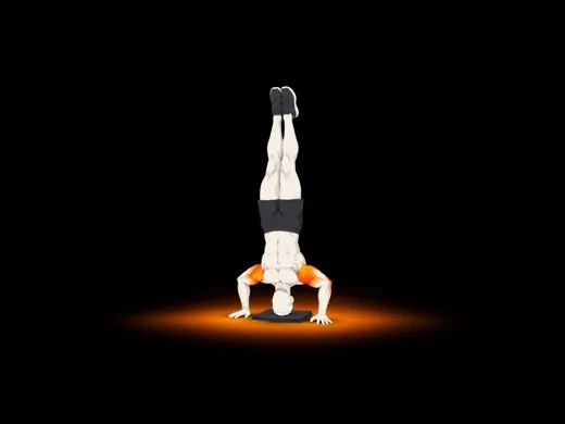 Freestanding Handstand Push-up illustration