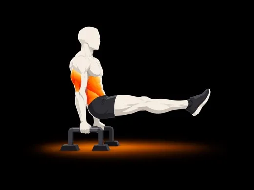 L-sit illustration