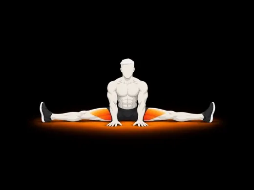 Middle Split illustration